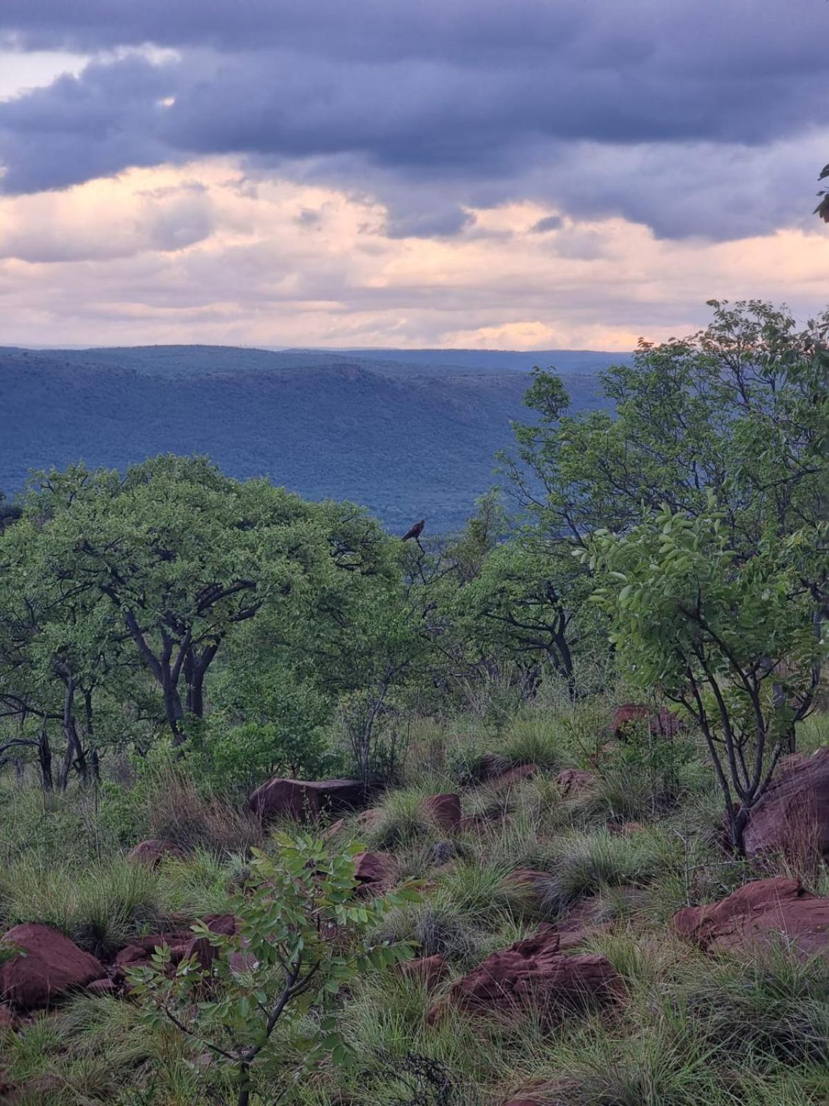 Waterfall Safari Lodge Winterkamp Bagian luar foto